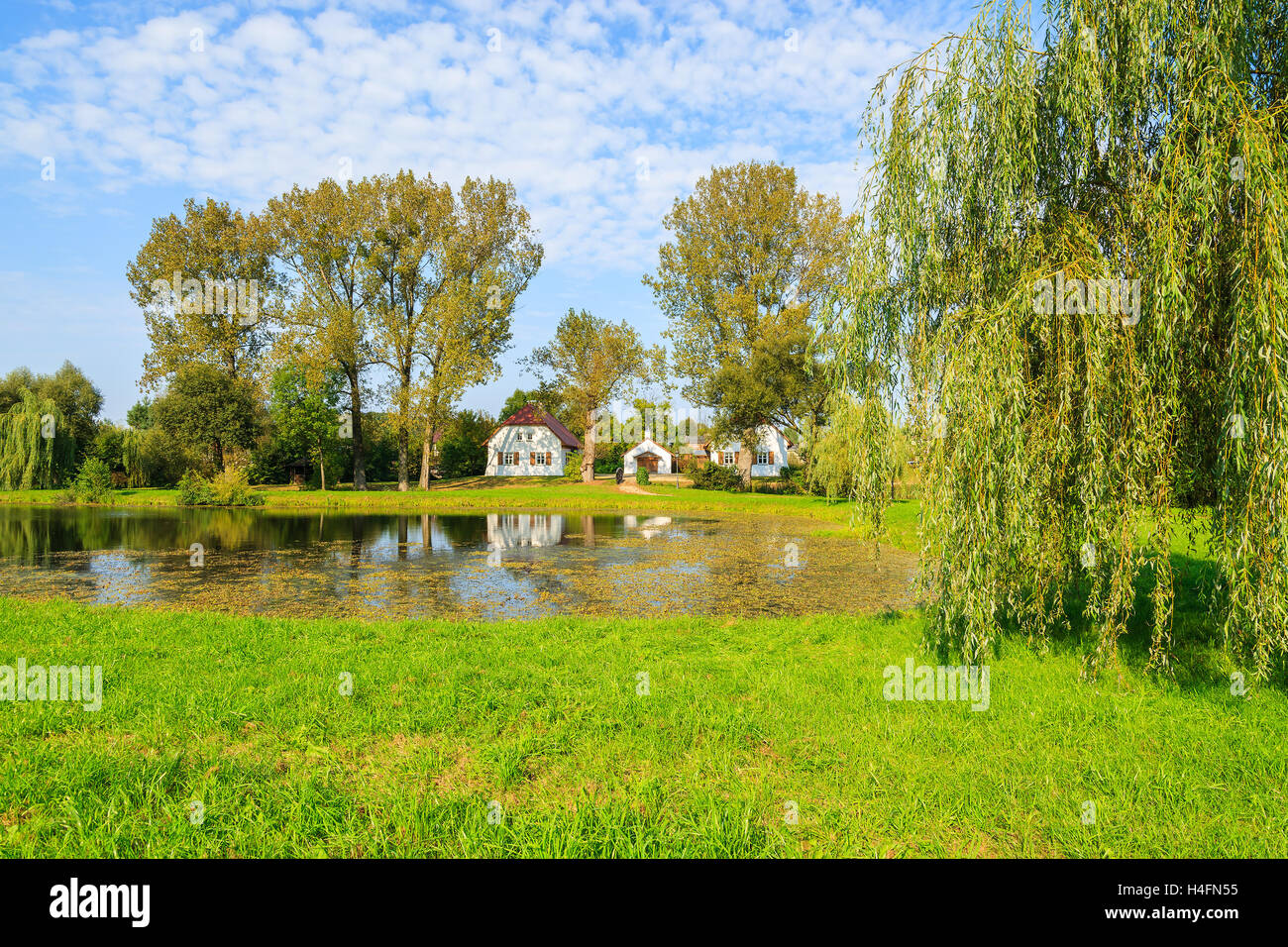 Lake with traditional cottage houses on shore in Radziejowice village on sunny summer day, Poland Stock Photo