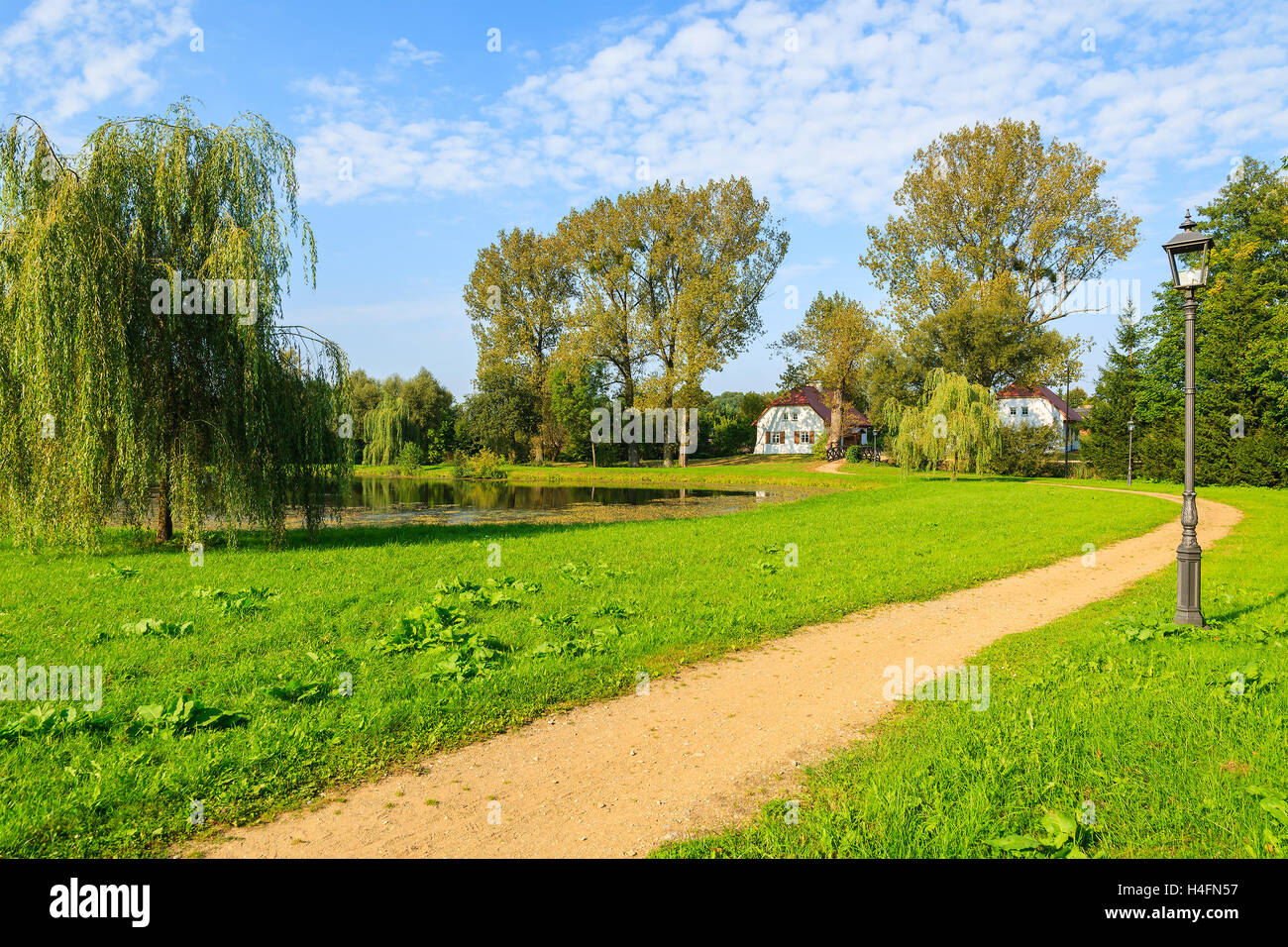 Alley in green park on sunny summer day in Radziejowice village, Poland Stock Photo