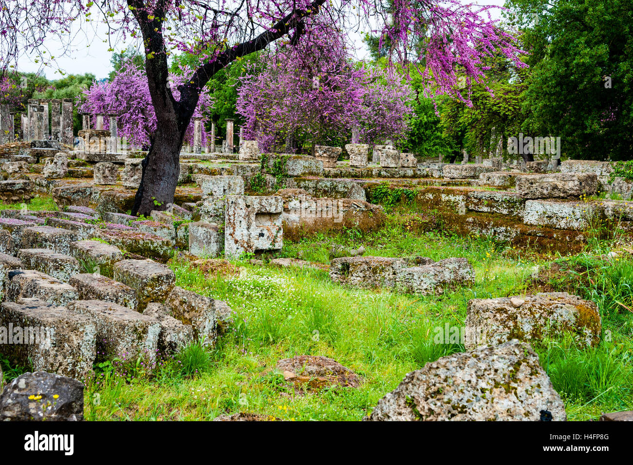 Olympia, Greece. The site of the Olympic Games in classical times. Stock Photo