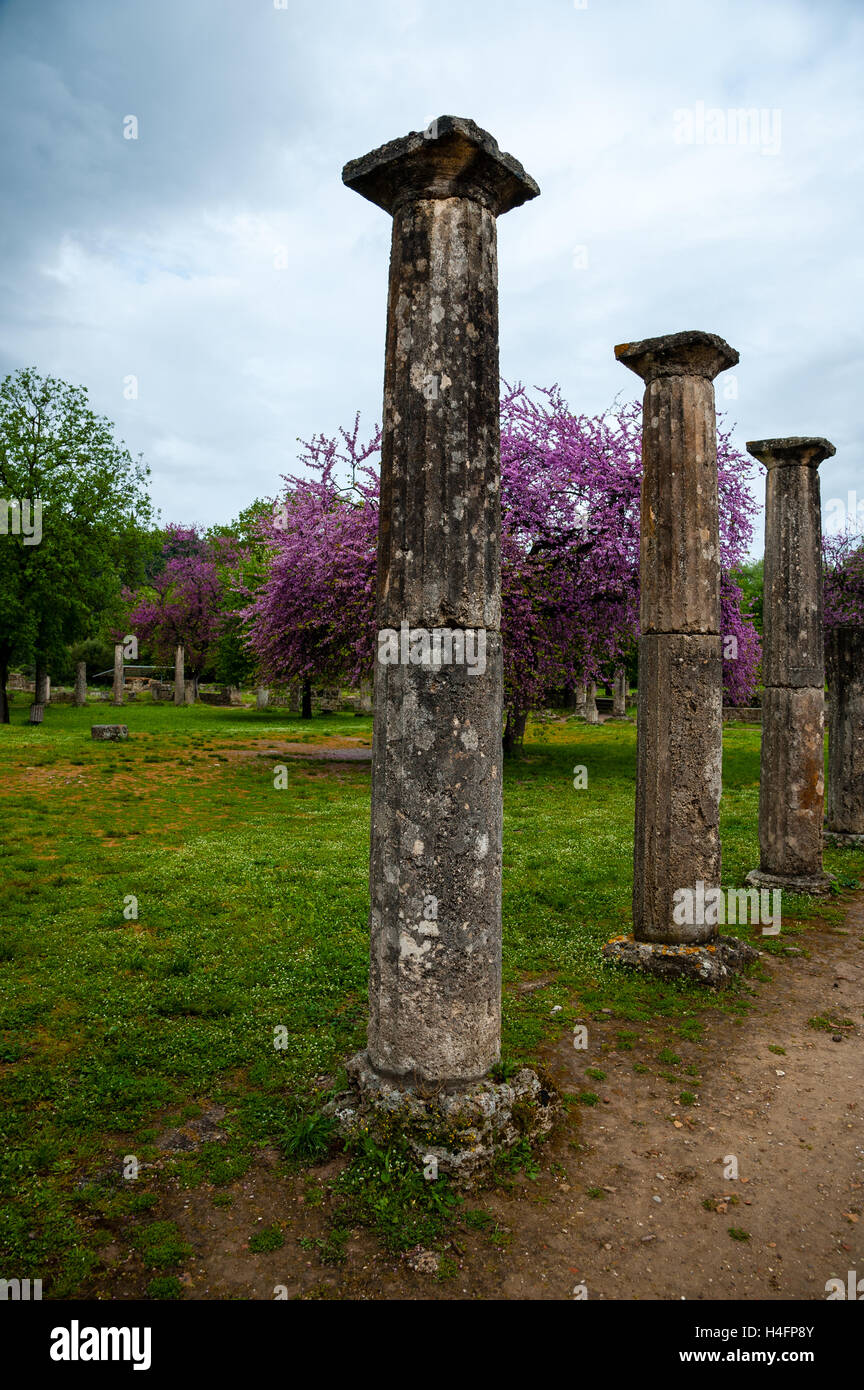 Olympia, Greece. The site of the Olympic Games in classical times. The Palaestra. Stock Photo