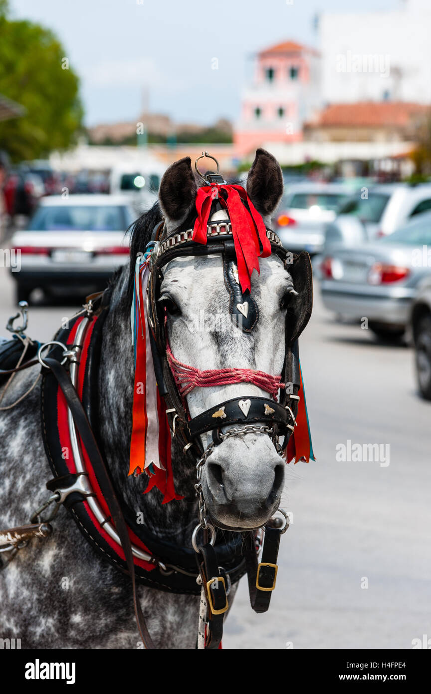 Aegina is one of the Saronic Islands of Greece in the Saronic Gulf. Horse cab. Stock Photo
