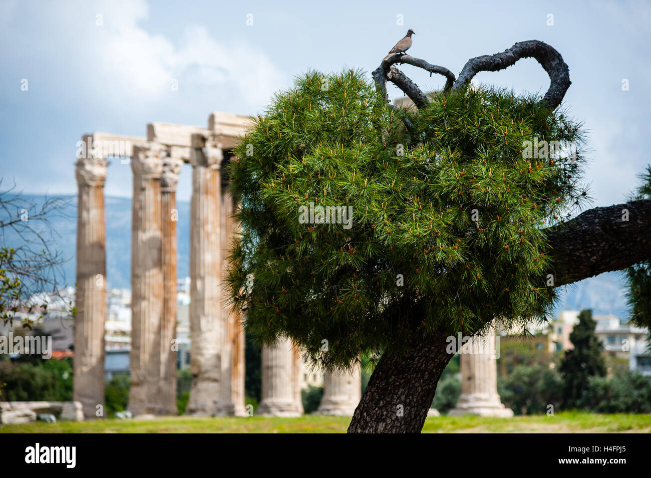 Athens, Greece. The Temple of Olympian Zeus. Stock Photo