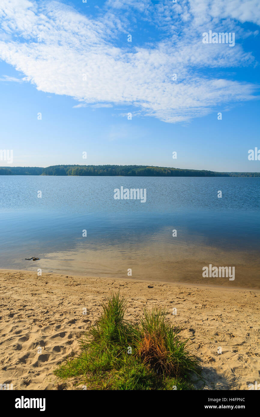 Green grass on sandy beach of Chancza lake, Poland Stock Photo