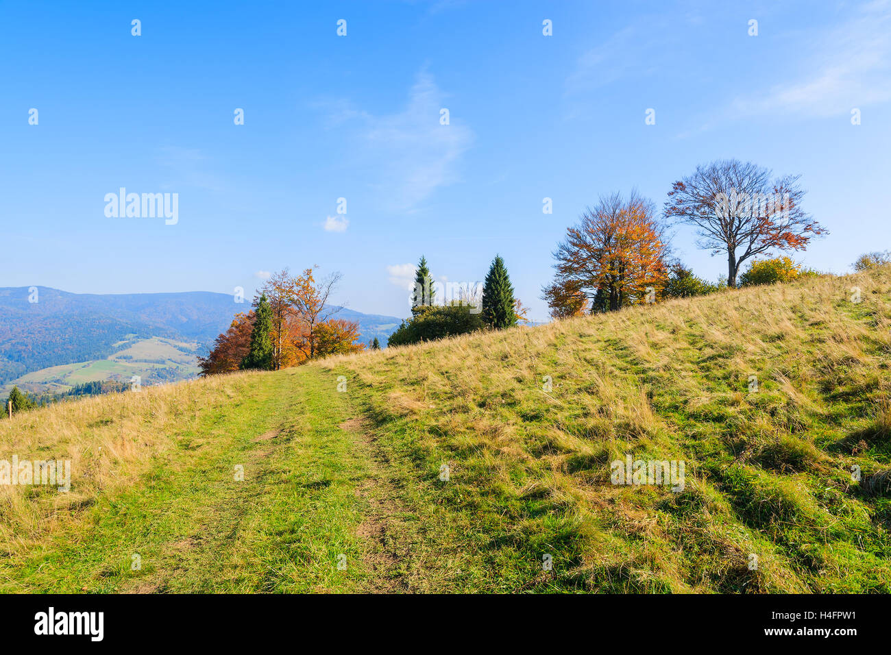 Green meadow in Pieniny Mountains on sunny autumn day, Poland Stock Photo