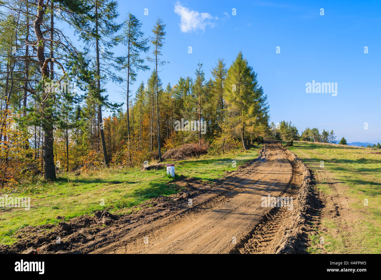 Rural road in Pieniny Mountains in autumn season, Poland Stock Photo