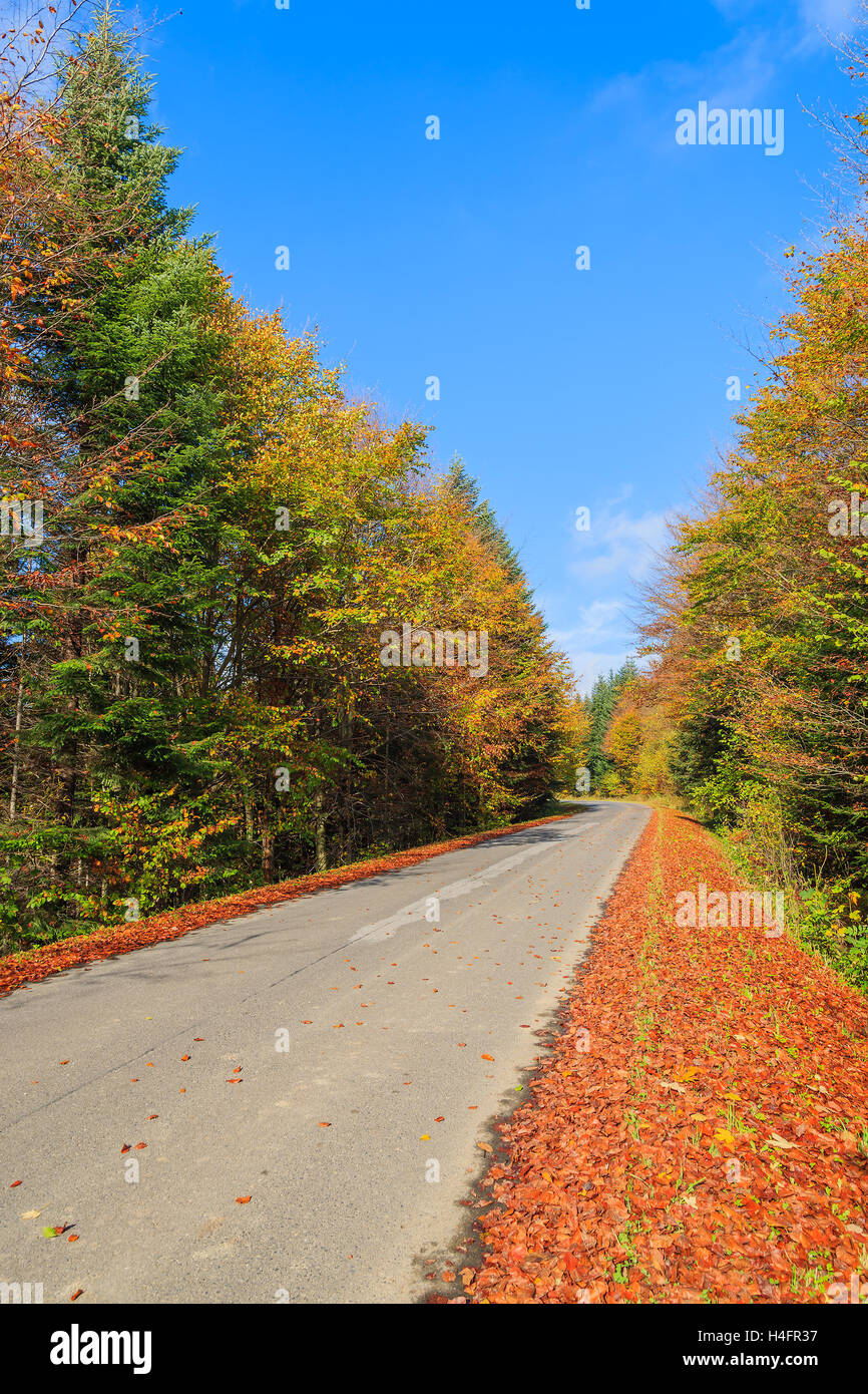 Countryside road in forest sunny autumn day, Beskid Niski Mountains, Poland Stock Photo