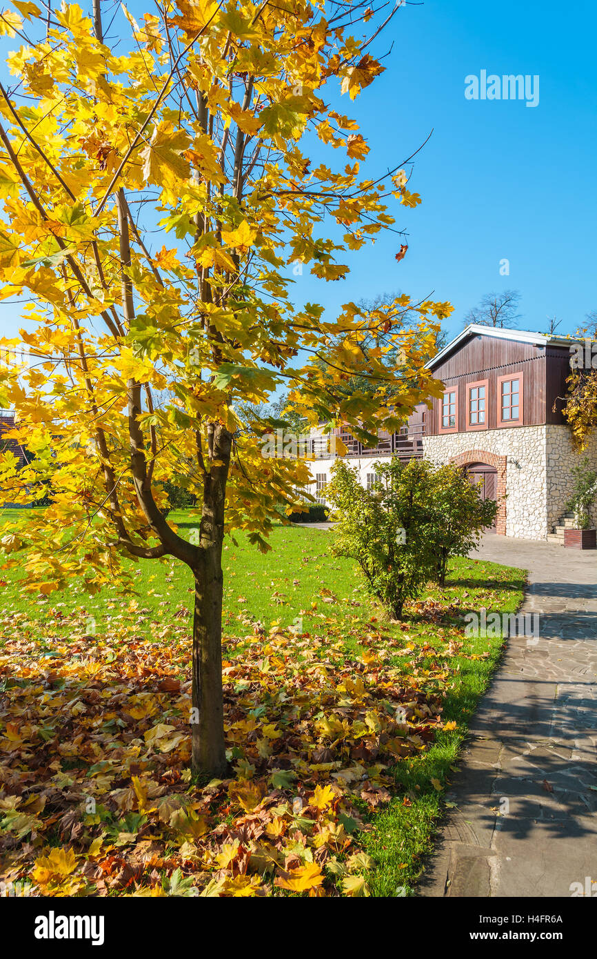 Alley in a park and view of traditional house in Tomaszowice village on sunny autumn day, Poland Stock Photo