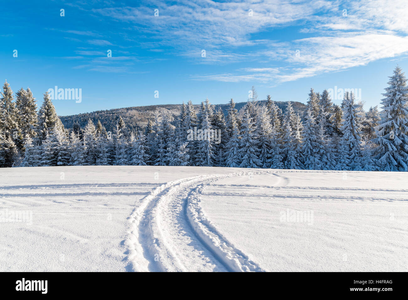 Winter road in Beskid Sadecki Mountains on sunny day, Poland Stock Photo