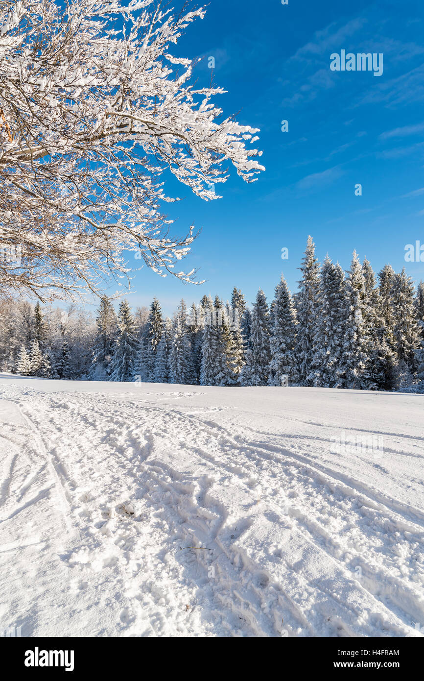 Winter road in Beskid Sadecki Mountains on sunny day, Poland Stock Photo