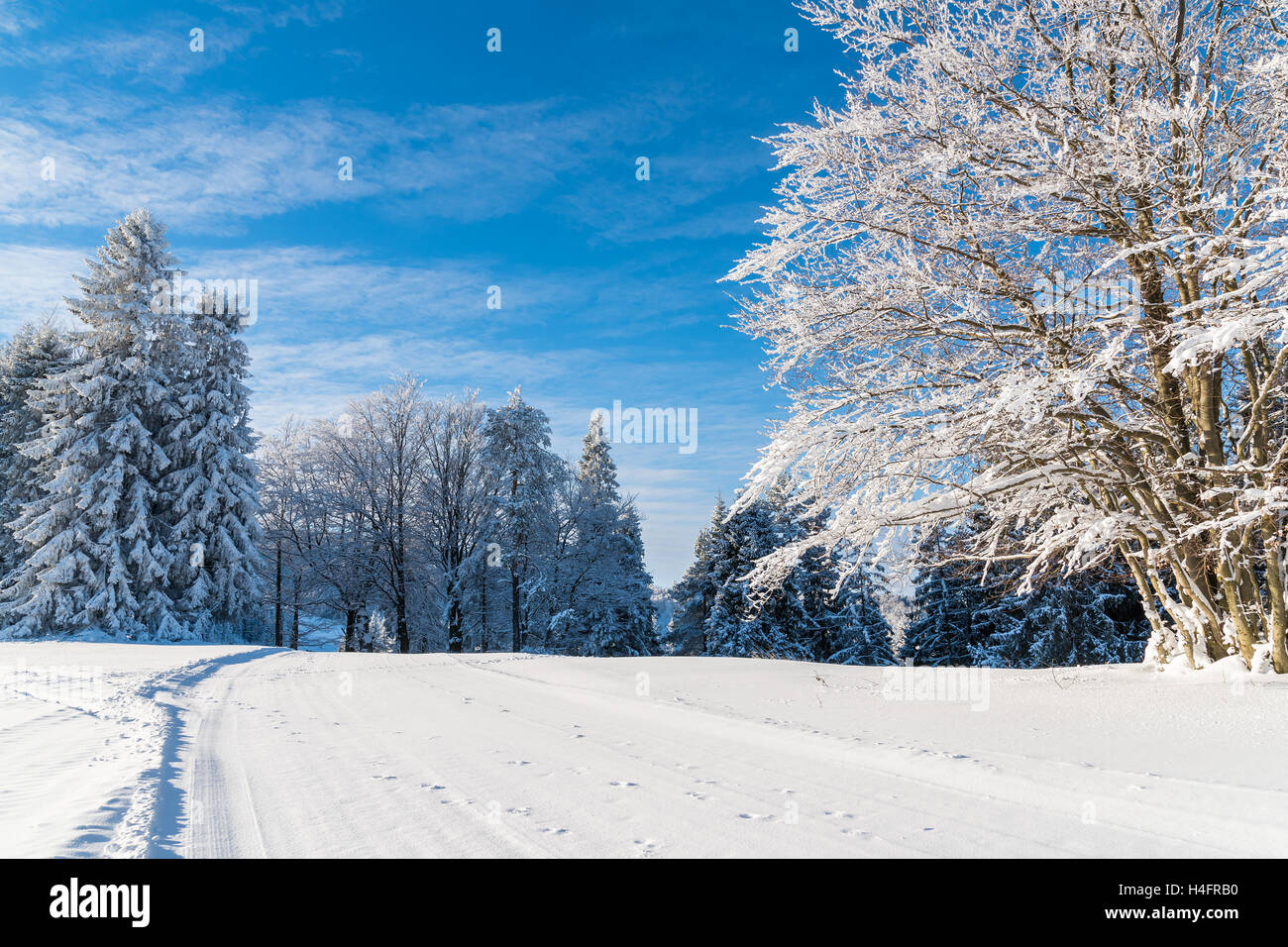 Winter road in Beskid Sadecki Mountains and sunny blue sky, Poland Stock Photo