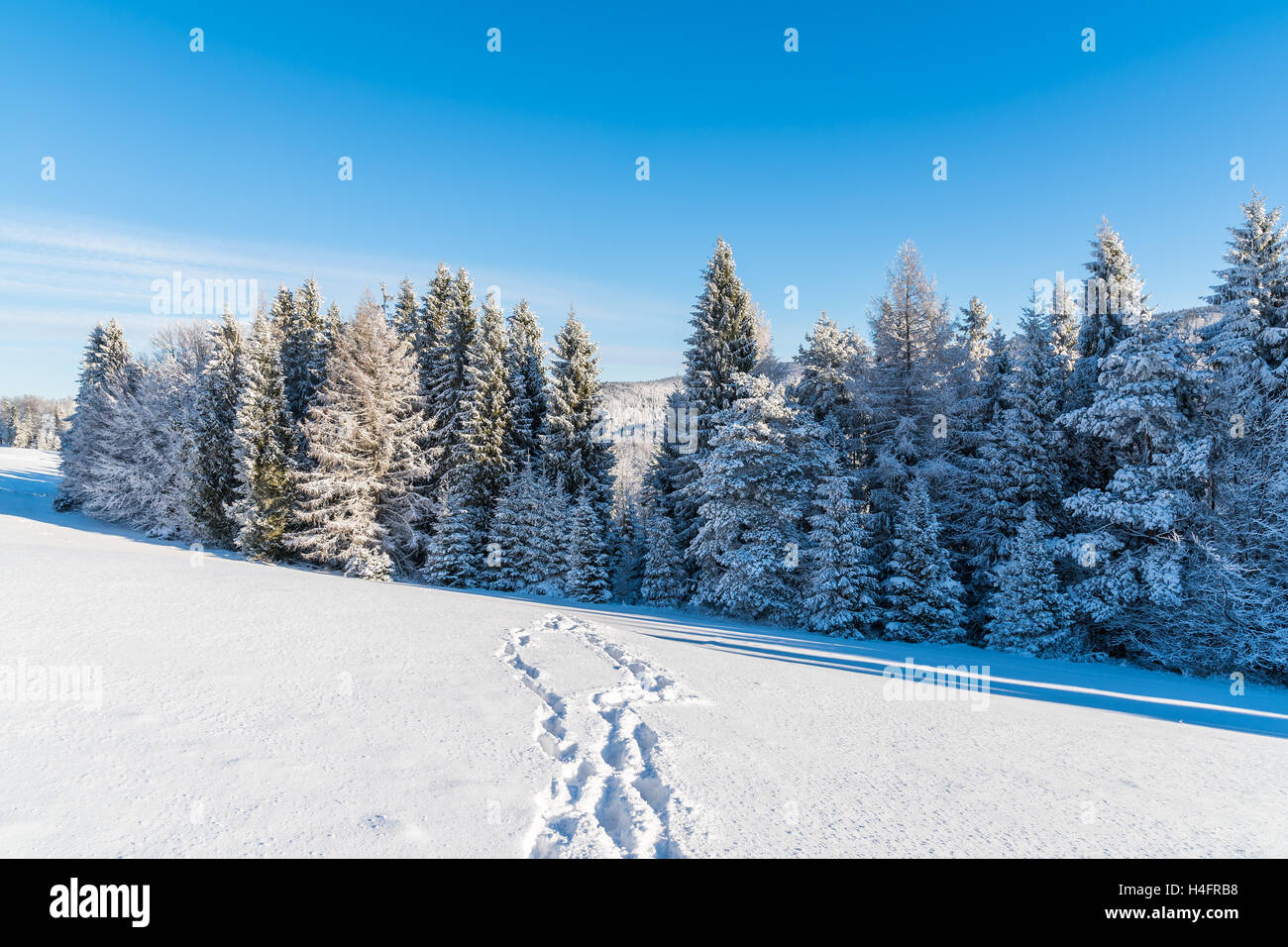 Path in snow on sunny day in Beskid Sadecki Mountains, Poland Stock Photo