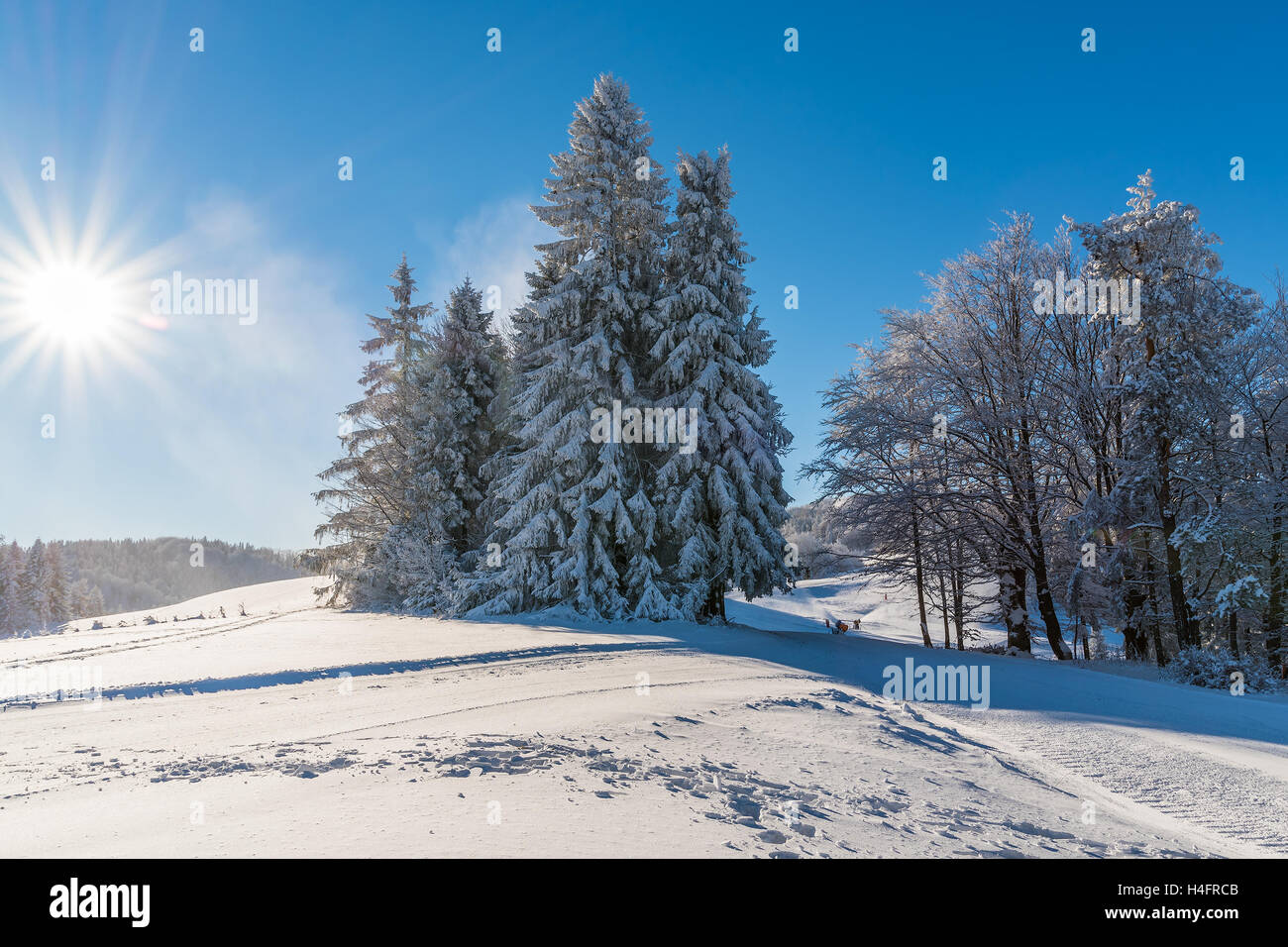 Winter in Beskid Sadecki Mountains on sunny day, Poland Stock Photo