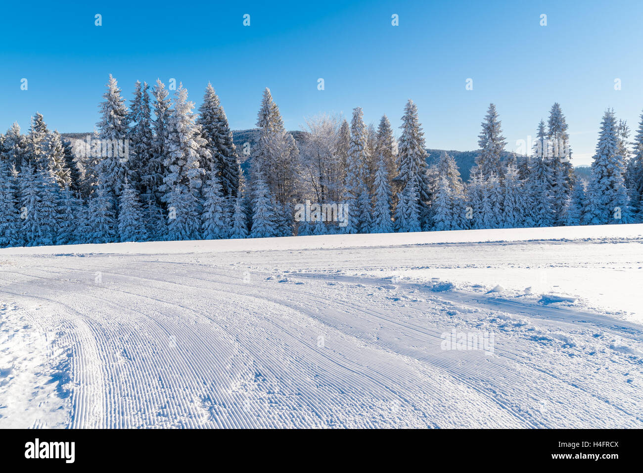 Groomed ski run in winter landscape of Beskid Sadecki Mountains on sunny day, Poland Stock Photo