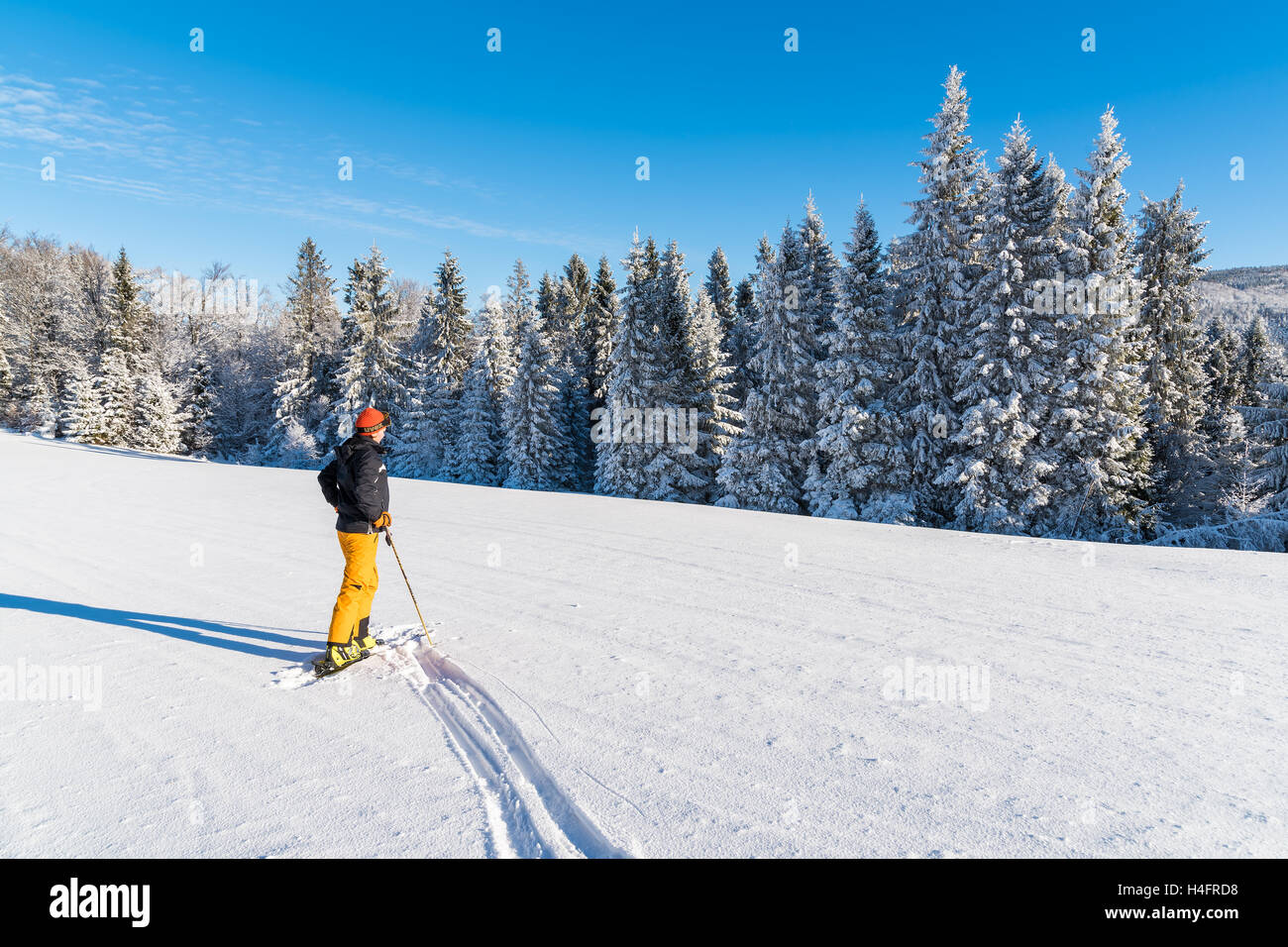 BESKID SADECKI MOUNTAINS, POLAND - DEC 31, 2014: woman skier in winter landscape on sunny day. Skiing is a popular sport in southern Poland Stock Photo