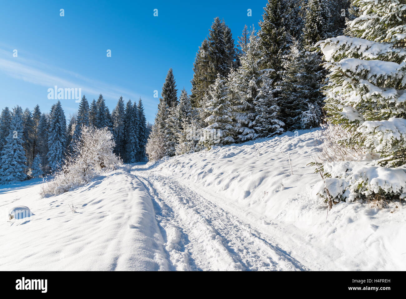 Winter path in Beskid Sadecki Mountains on sunny day, Poland Stock Photo