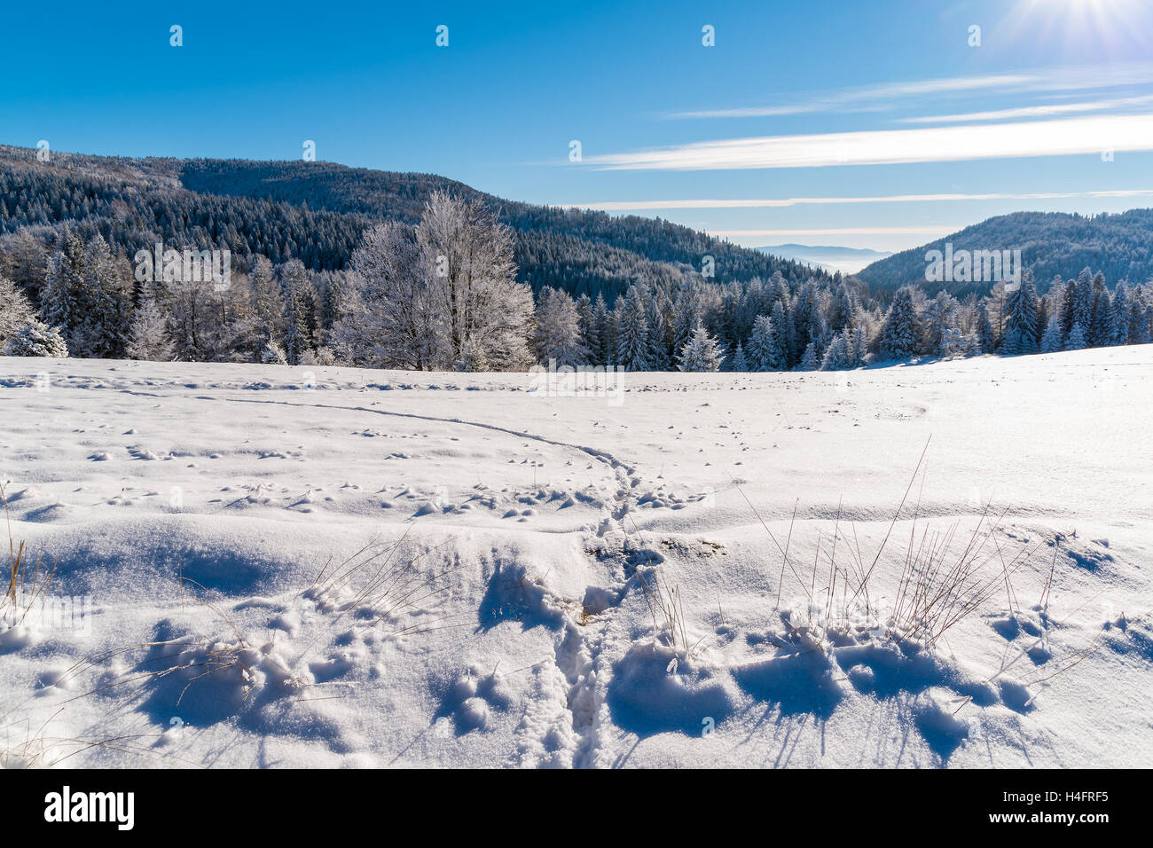 Winter landscape of Beskid Sadecki Mountains on sunny day, Poland Stock Photo