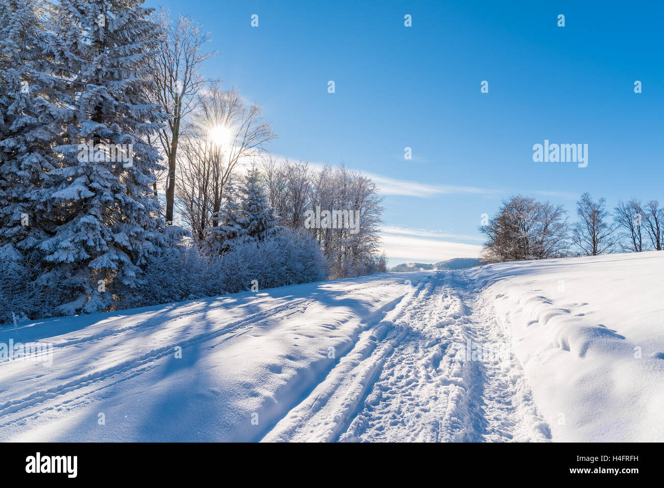 Winter path in Beskid Sadecki Mountains on sunny day, Poland Stock Photo