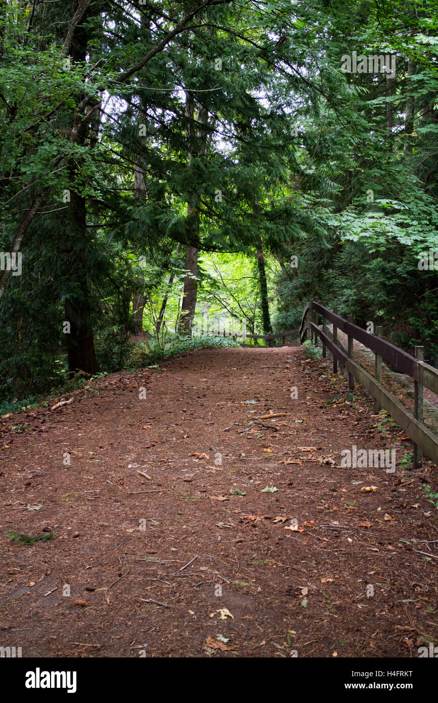 Uphill path leading up to the forest on Vancouver Island, outdoor inspiration Stock Photo