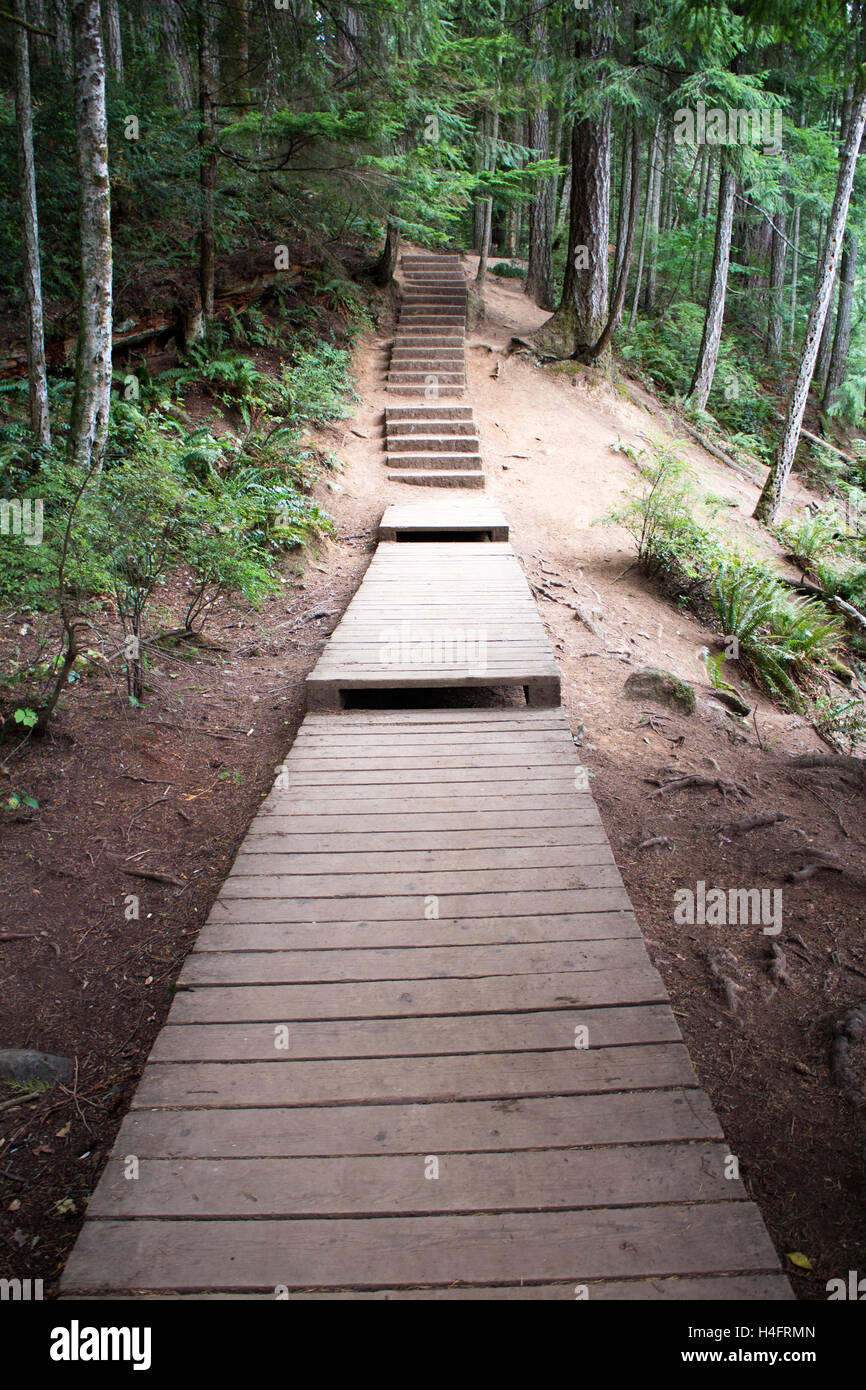 Stairs and a walkway outside using wood in the forest on Vancouver Island Stock Photo
