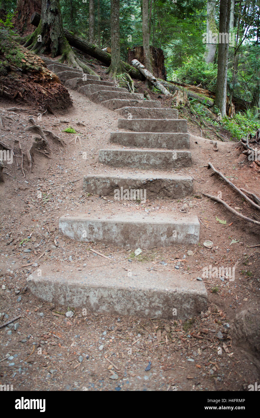 Outdoor stairs on a hiking trail on Vancouver Island Stock Photo