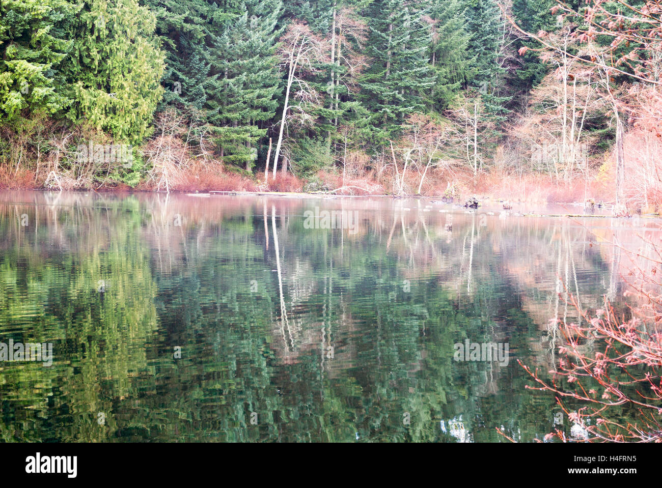 Beautiful picture of Westwood lake in Nanaimo, BC Stock Photo