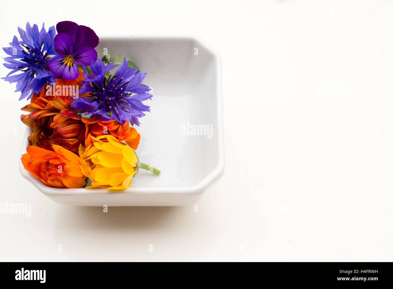 Edible flowers in a container, bachelor buttons, pansy, calendulas, purple flowers, red flowers, blue flowers, farm inspired Stock Photo