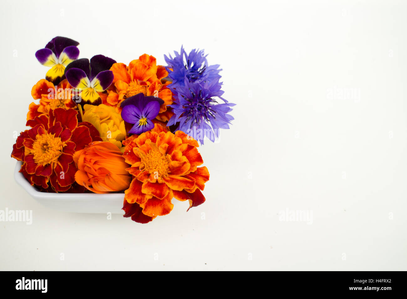 Edibles flowers together, pansy, marigold, calendulas, bachelor buttons, red flowers, orange flowers, purple flowers, blue Stock Photo