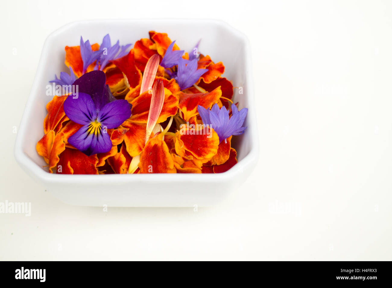 Edibles flowers, pansy, bachelor buttons, marigolds and calendula arranged together, farm inspiration Stock Photo