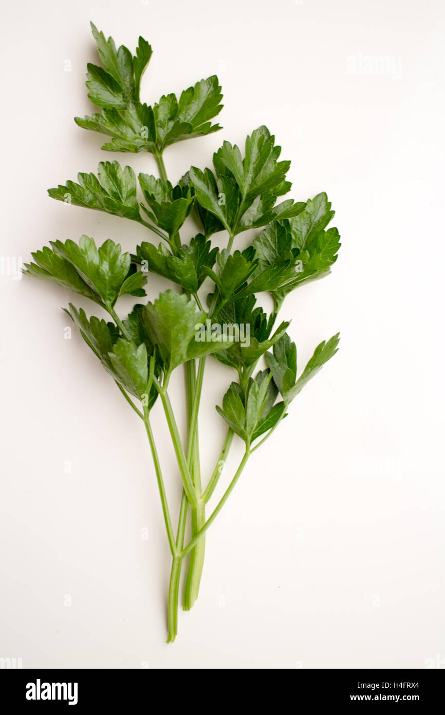 Organic celery stalk, food inspired Stock Photo