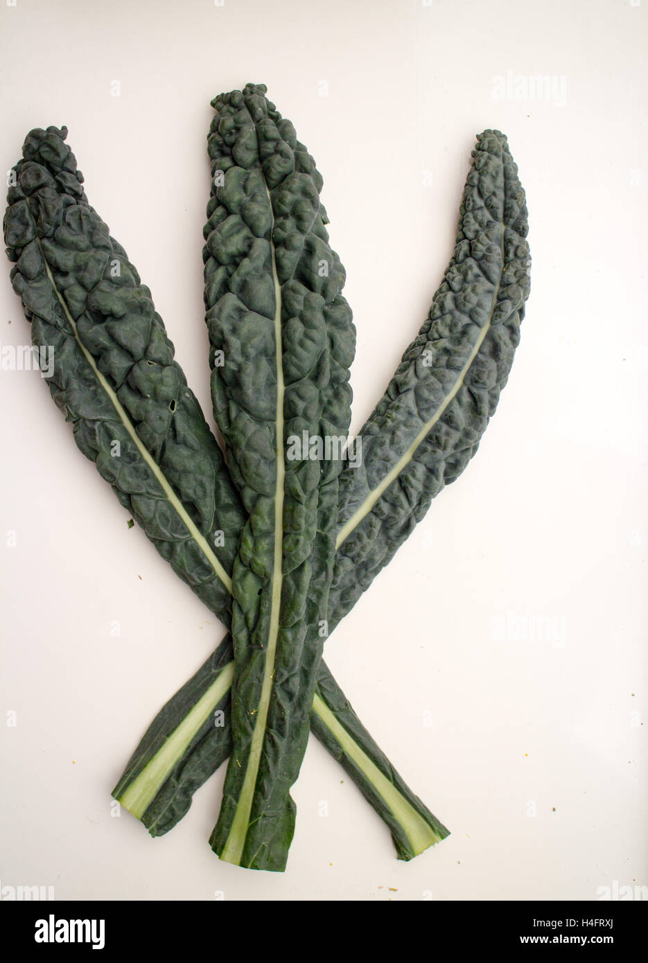3 dinosaur kale or lacinato kale to be made into a creation, food inspired Stock Photo
