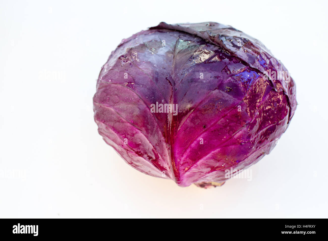 A head of purple cabbage to be used in a recipe for food, food inspired Stock Photo