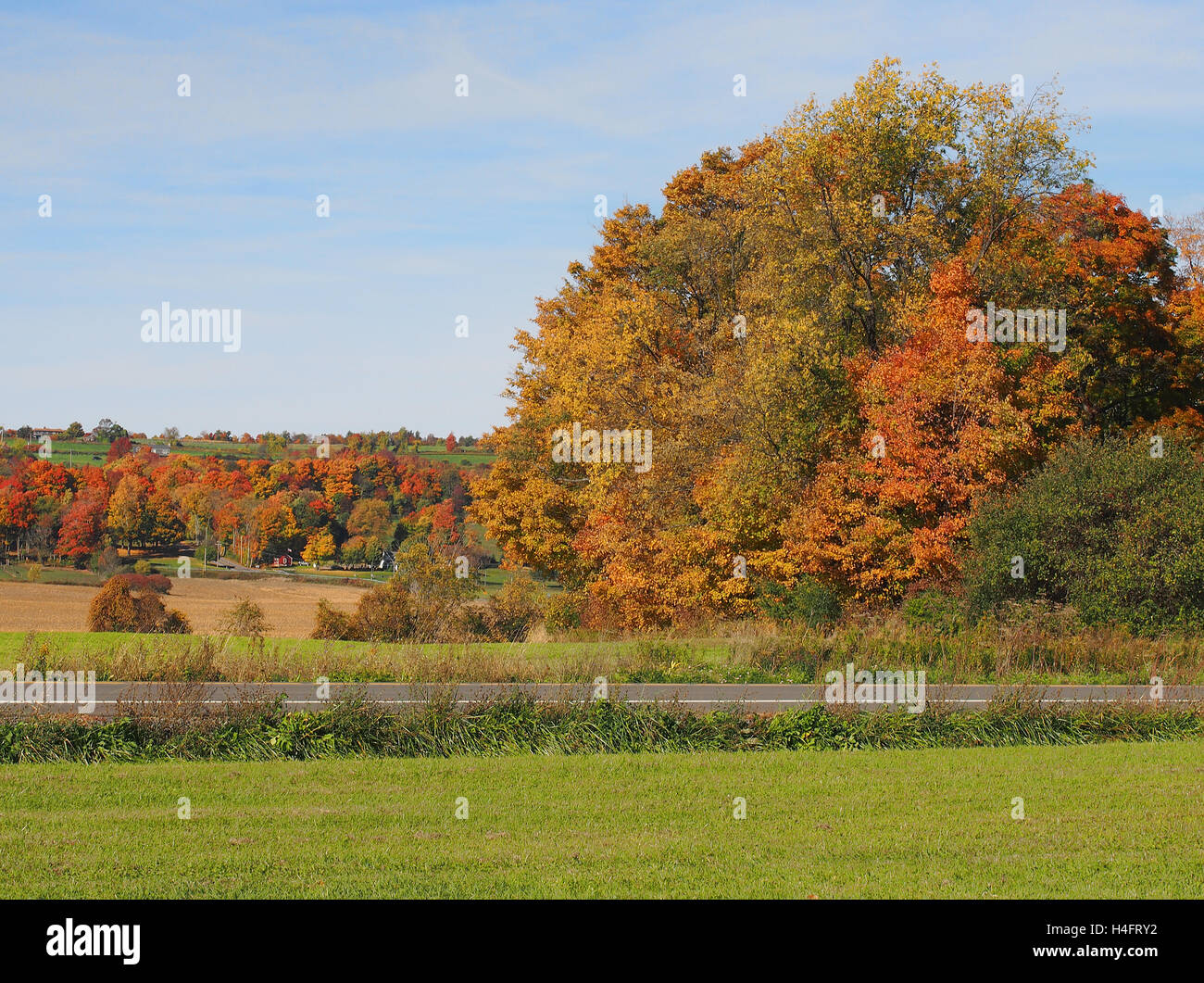 Field in middle autumn hi-res stock photography and images - Alamy
