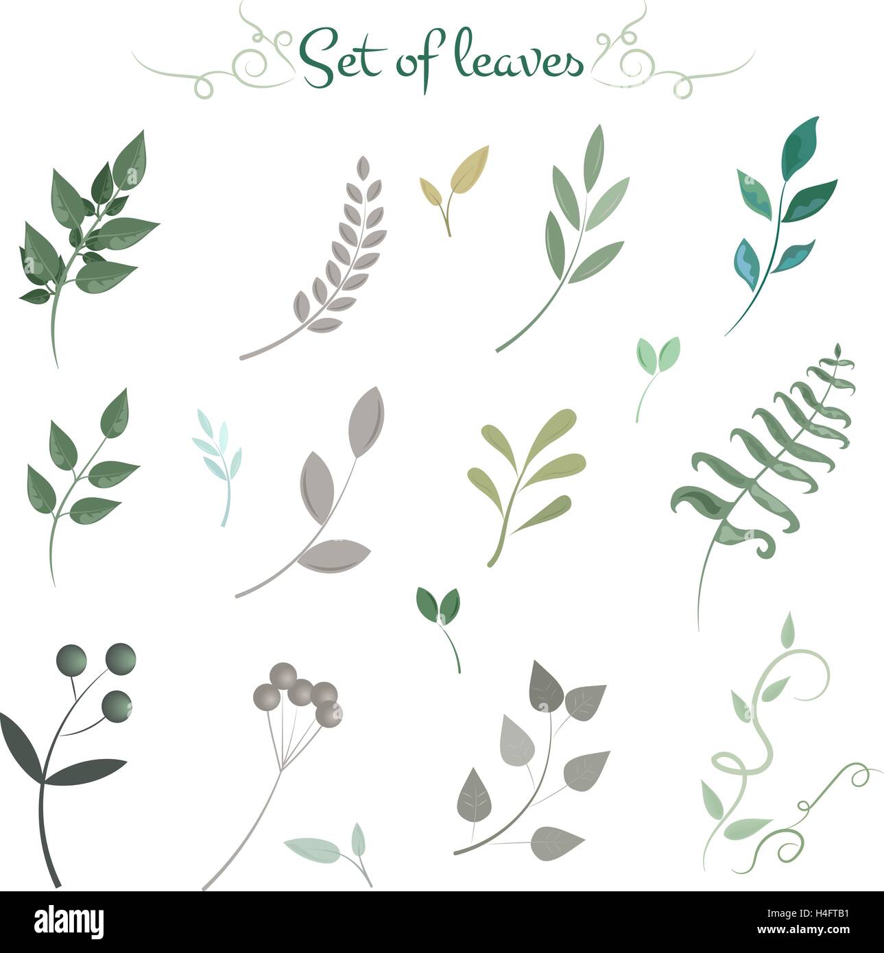 Green leaves set Stock Vector Image & Art - Alamy