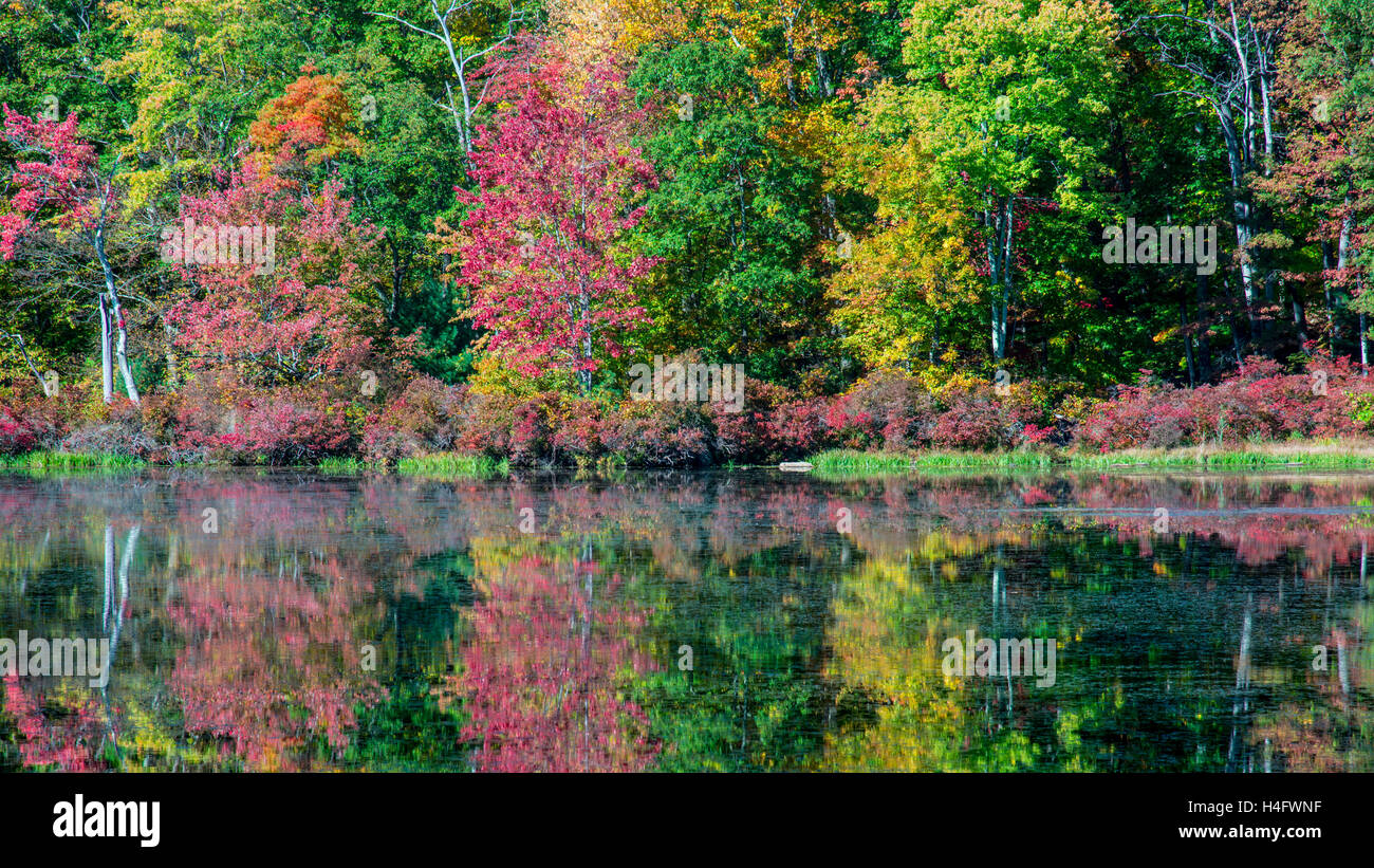 Fall Foliage Harriman State Park New York Stock Photo - Alamy