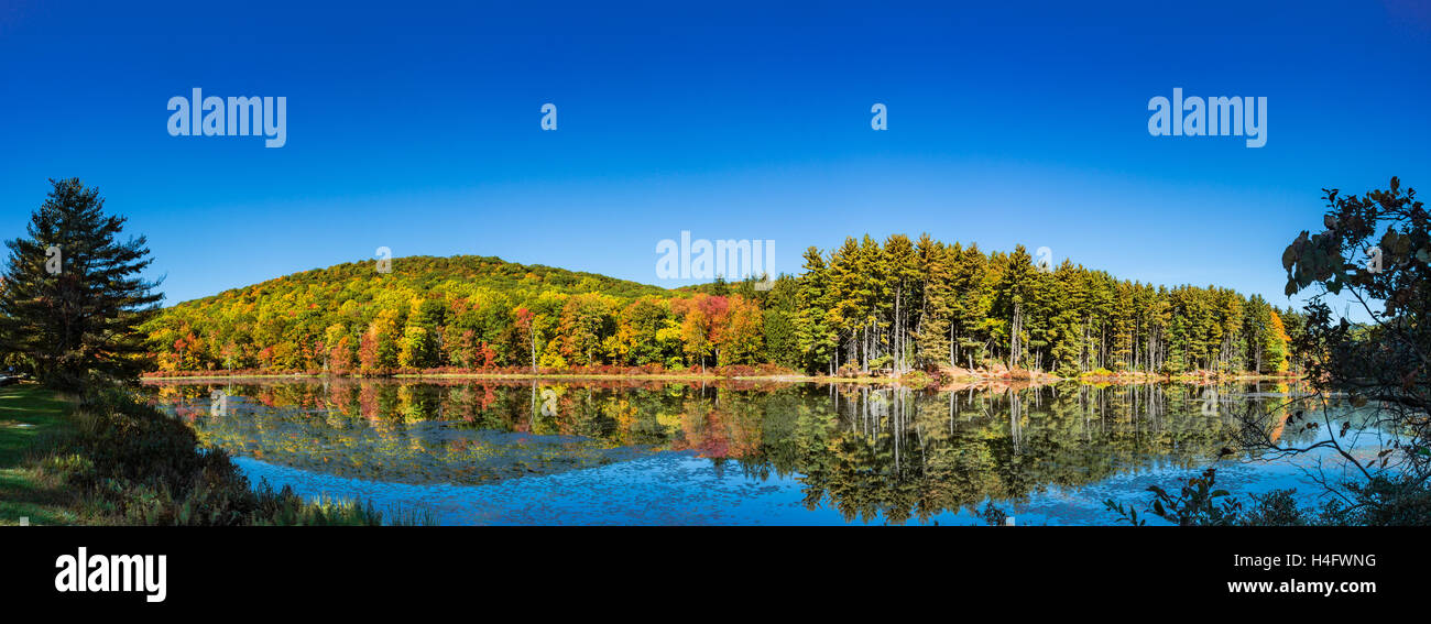 Fall Foliage Harriman State Park New York Stock Photo - Alamy