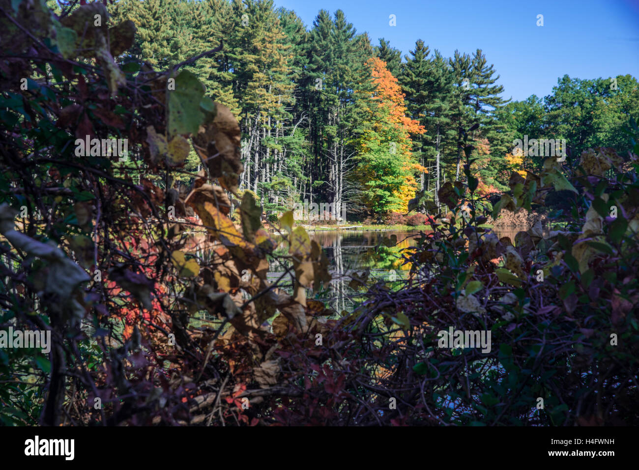 Fall Foliage Harriman State Park New York Stock Photo - Alamy