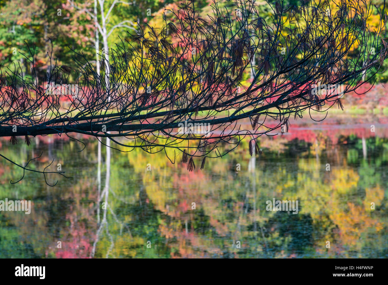 Fall Foliage Harriman State Park New York Stock Photo - Alamy