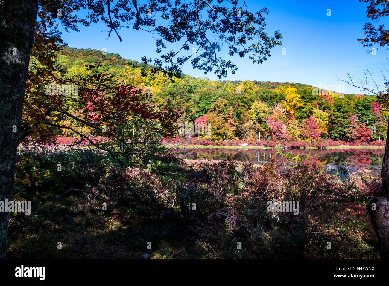 Fall Foliage Harriman State Park New York Stock Photo - Alamy