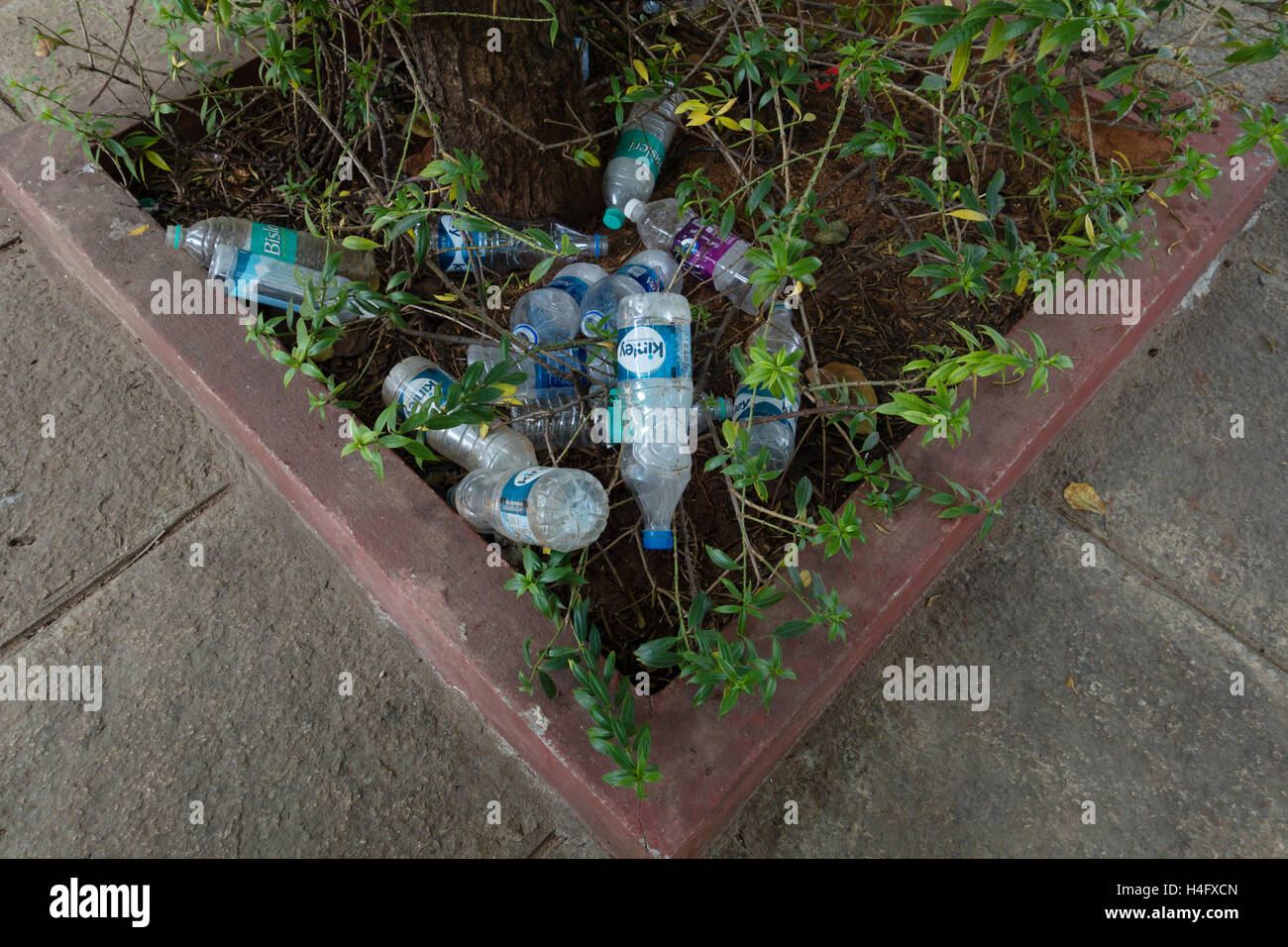 Empty Plastic Water Bottles around a tree Stock Photo