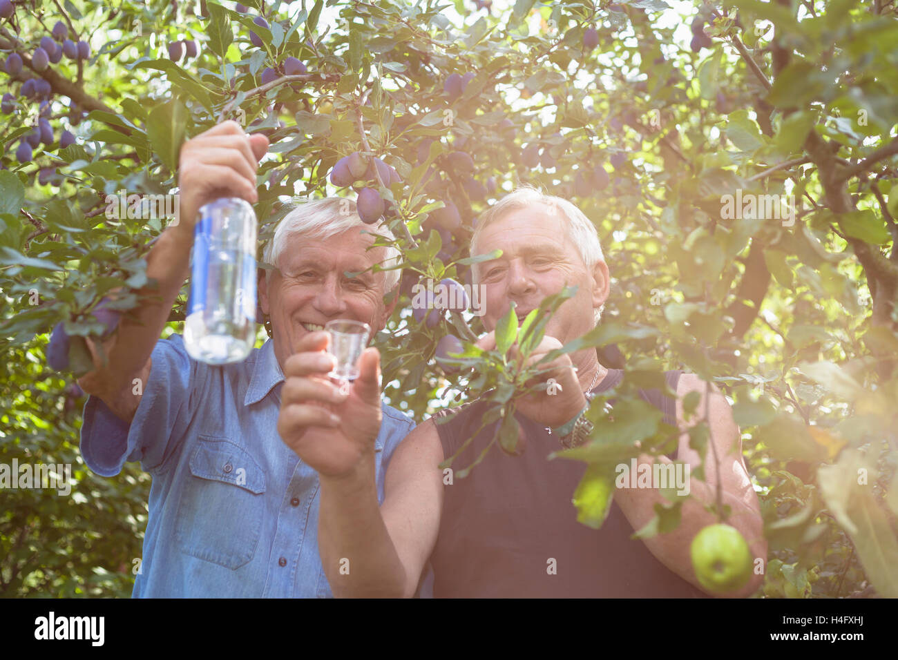 Two happy seniors with bottle of alcohol enjoying sunny day outdoors under fruit trees. Stock Photo