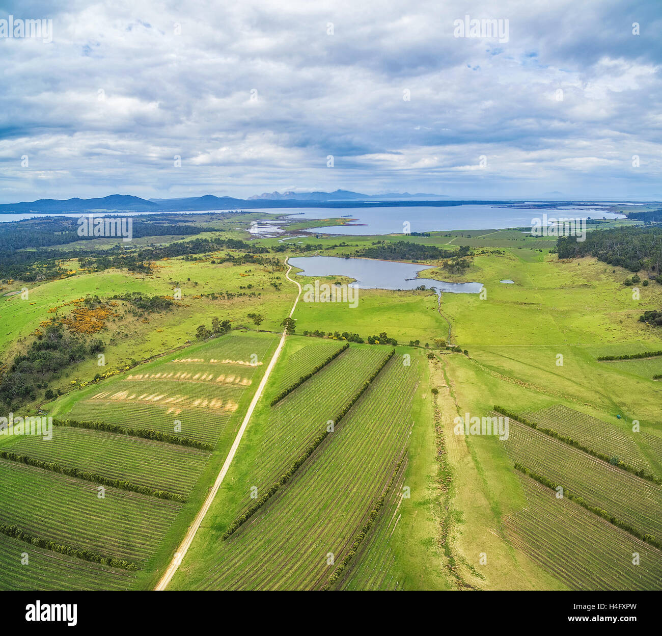 Aerial view of Devil's Corner winery. East coast, Apslawn, Tasmania, Australia Stock Photo