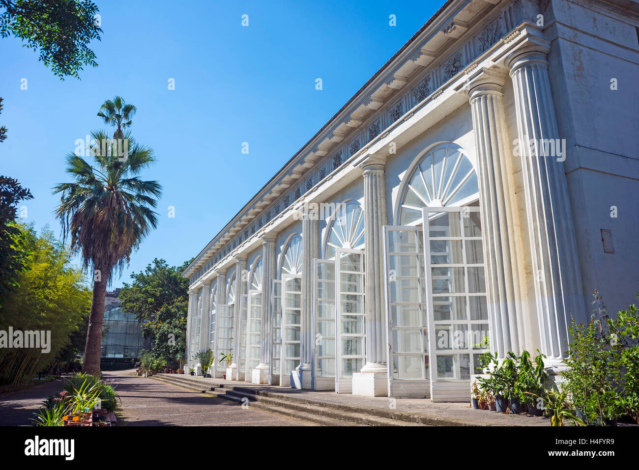 Naples italy the greenhouse in the botanical garden Stock Photo