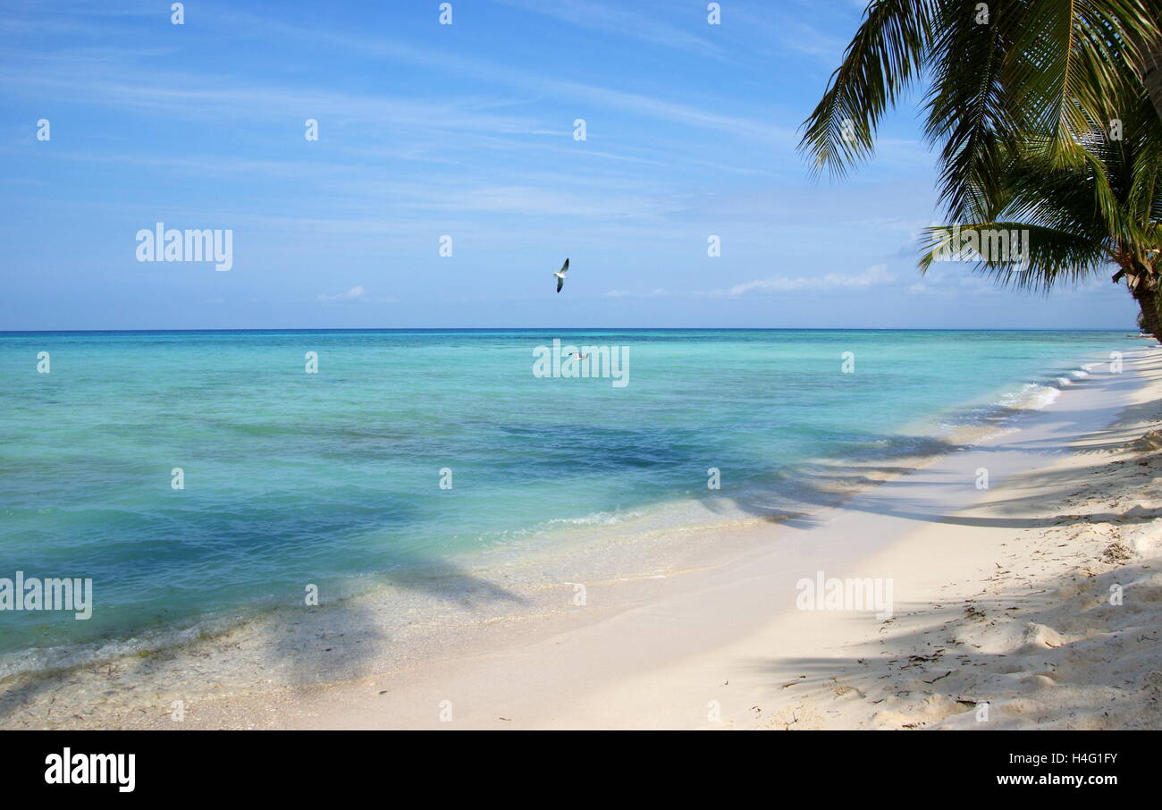 Beautiful sea off the Saona Island. Dominican Republic, West Indies, Caribbean, Central America.  East National Park. Stock Photo