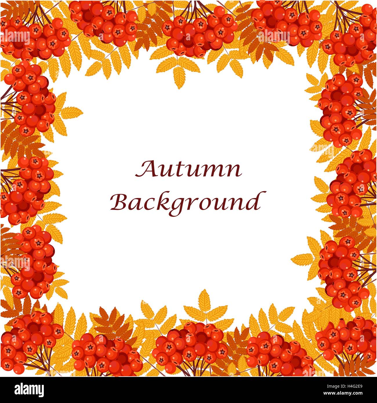 Frame with autumn leaves and berries Stock Vector Image & Art - Alamy