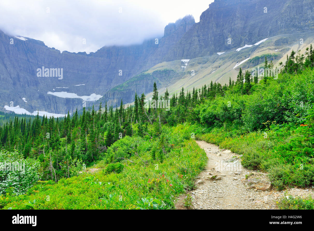alpine trail to Iceberg Lake Glacier in Glacier National Park in summer