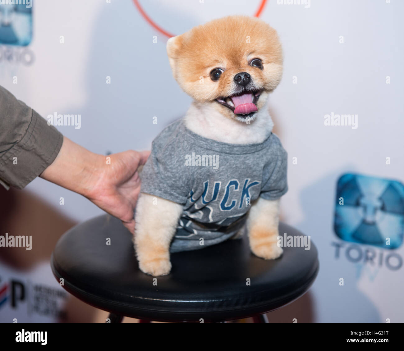Jiff Pom smiles for a photo at the Glazer Palooza + Suits & Sneakers ...