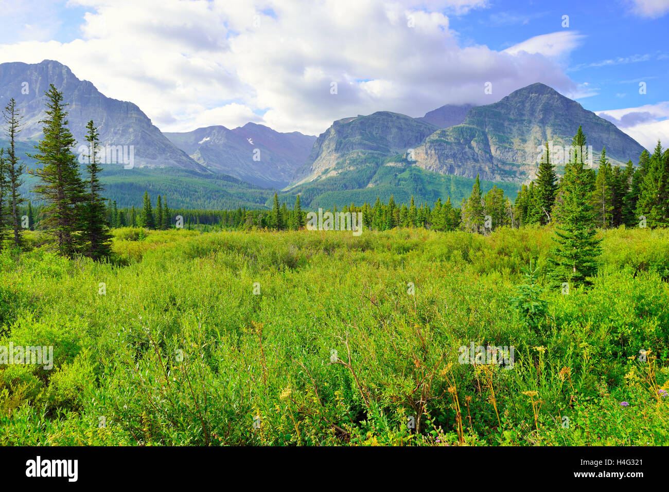 alpine scenery of the Glacier National Park in summer Stock Photo