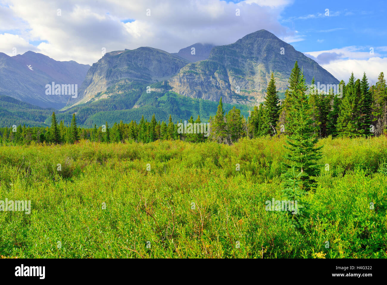alpine scenery of the Glacier National Park in summer Stock Photo