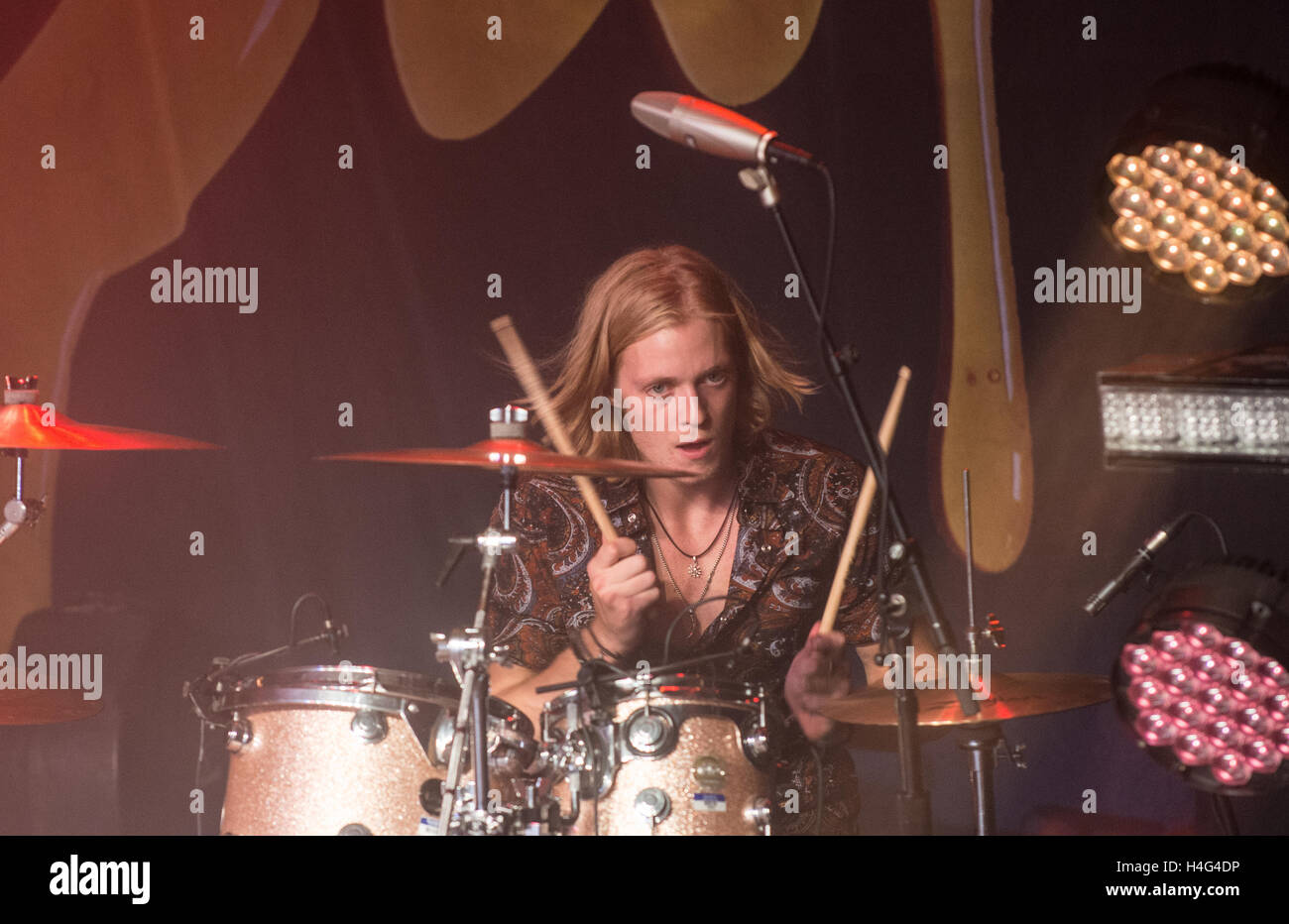 Rufus Tiger Taylor Hi Res Stock Photography And Images Alamy