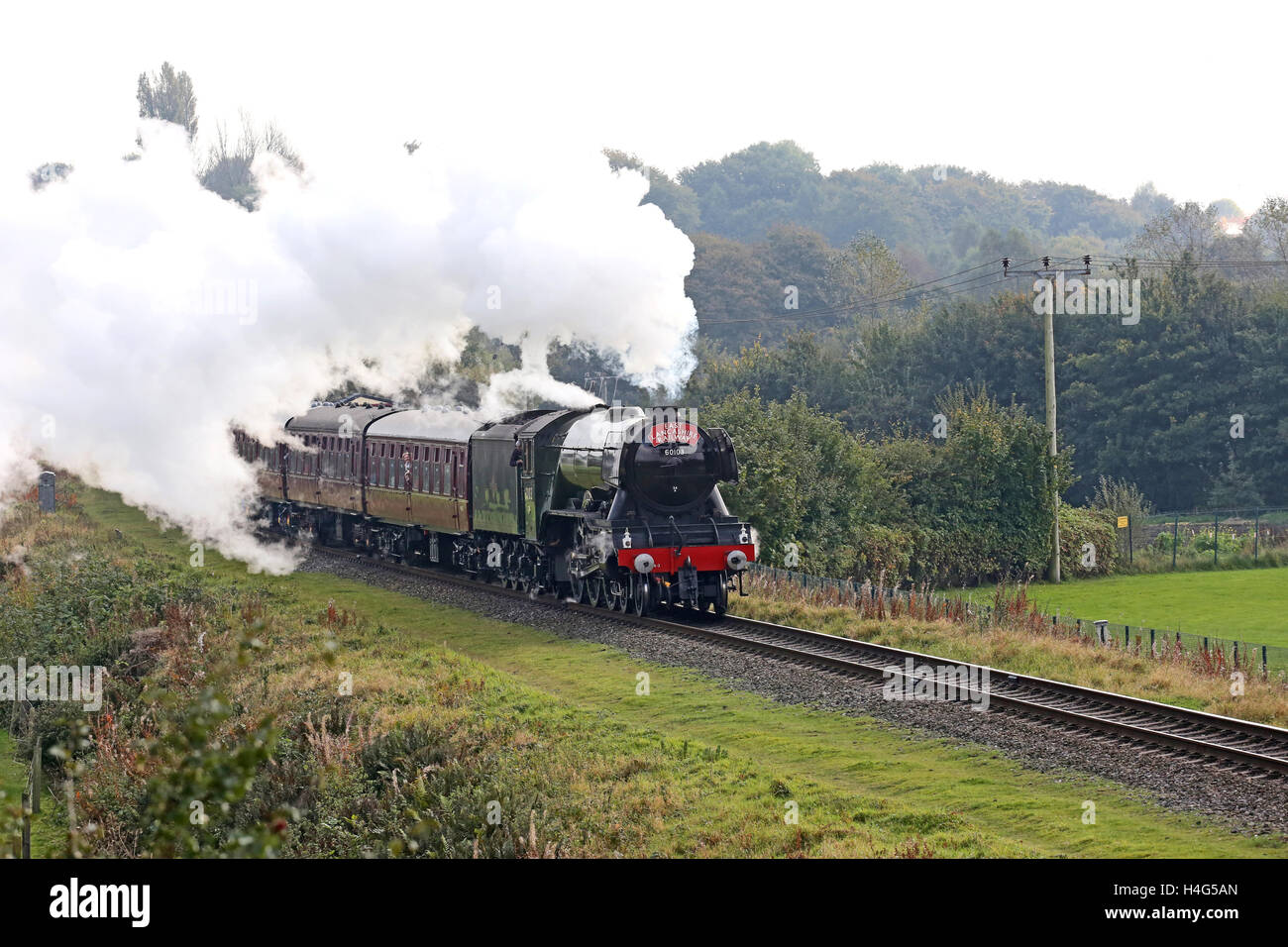 Bury, Lancashire, UK. 15th October, 2016. The Flying Scotsman on the tracks of the East Lancashire railway passing Burrs Country Park, Bury, 15th October 2016 Credit:  Barbara Cook/Alamy Live News Stock Photo
